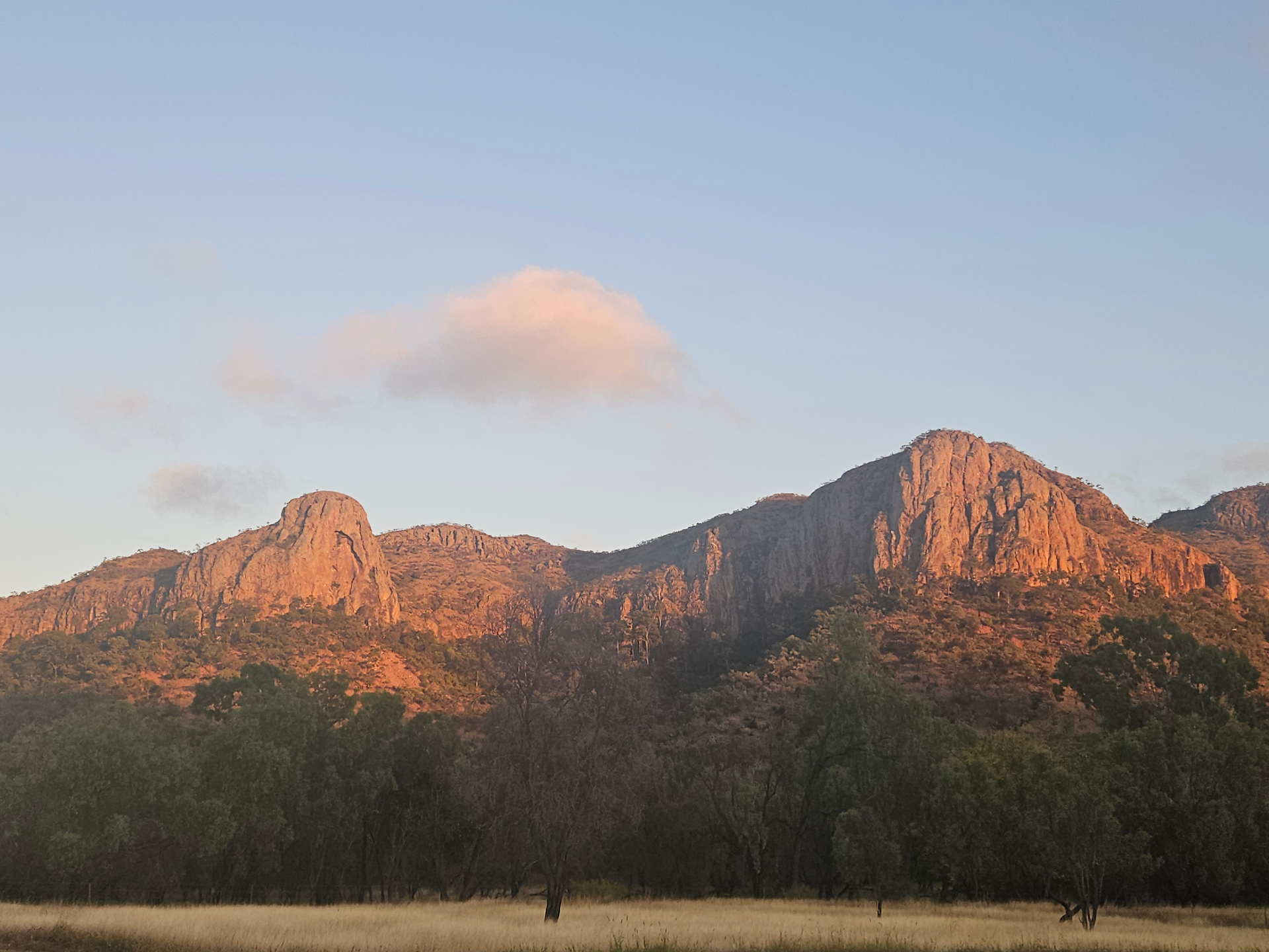 Australian outback at sunrise, rocky escarpment and grasslands